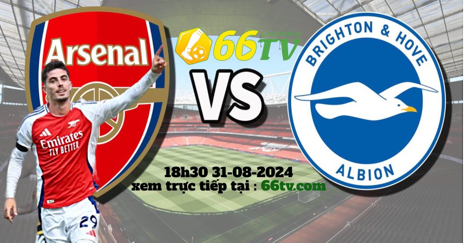 Tổng hợp trận đấu :  Arsenal vs Brighton