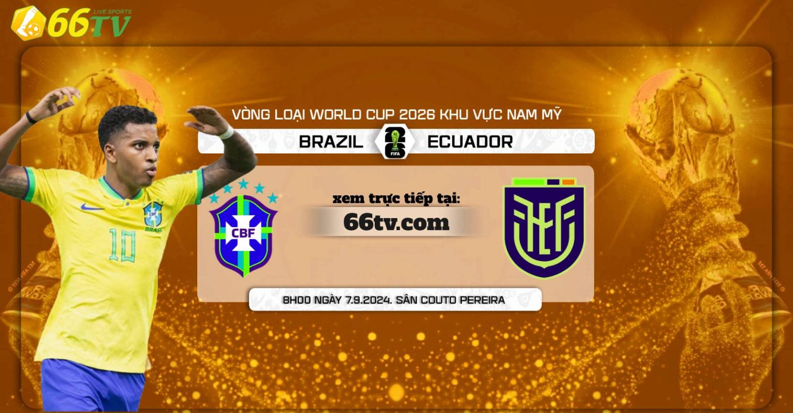 Tổng hợp trận đấu :  Brazil vs Ecuador